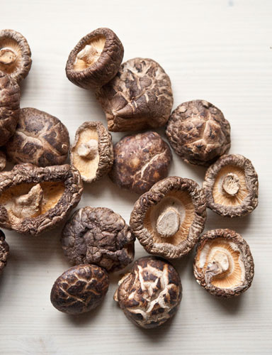 hiina seened shiitake